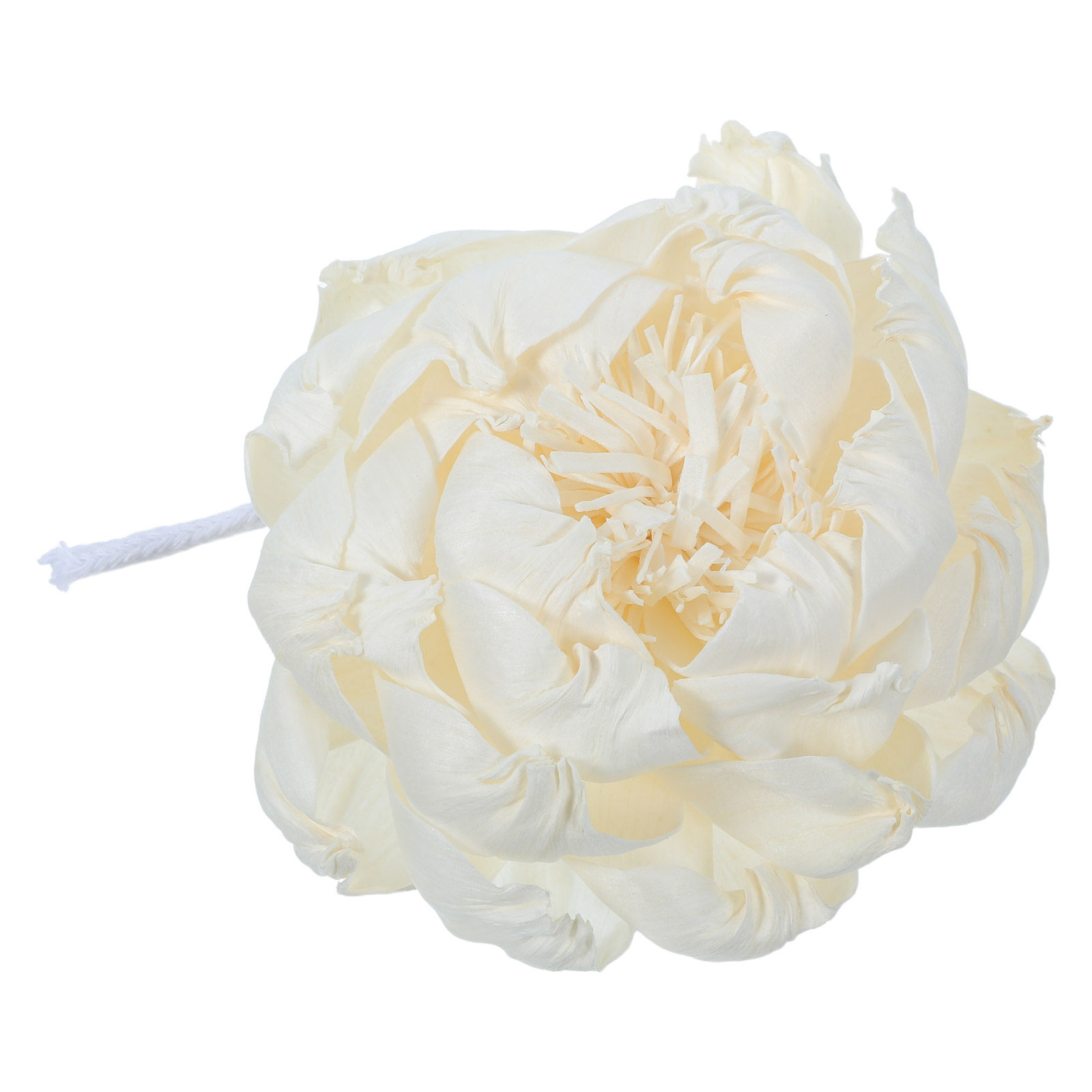 Difusor de Aroma Peony Head 12 - Home And You Fragrance Diffuser avaliação e preço