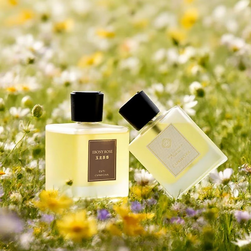 Casa sala de estar fragrância  - Home Fragrance Room Spray avaliação e preço