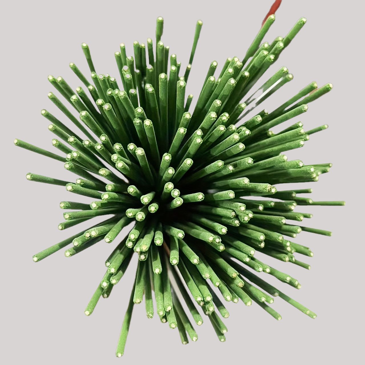 Reed difusor varas capim-limão - Home Fragrance Janzen avaliação e preço